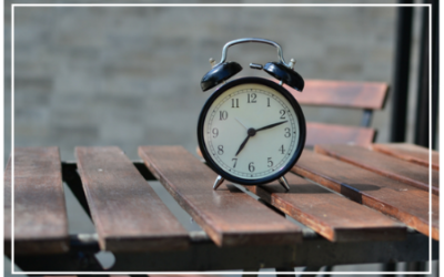 ŚWIĄTECZNE PRZYGOTOWANIA