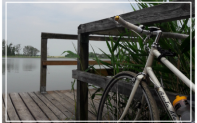 O AKTYWNOŚCI JESZCZE INACZEJ