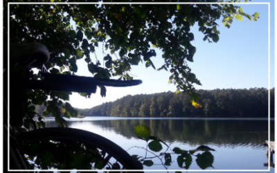 CO POMAGA W ZROZUMIENIU SIEBIE?